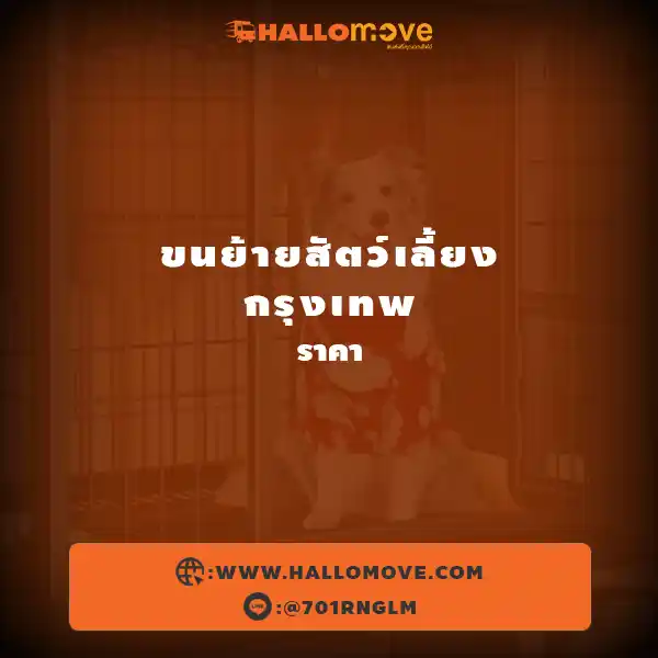ขนย้ายสัตว์เลี้ยง กรุงเทพ ราคา