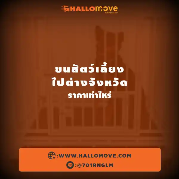 ขนสัตว์เลี้ยงไปต่างจังหวัด ราคาเท่าไหร่